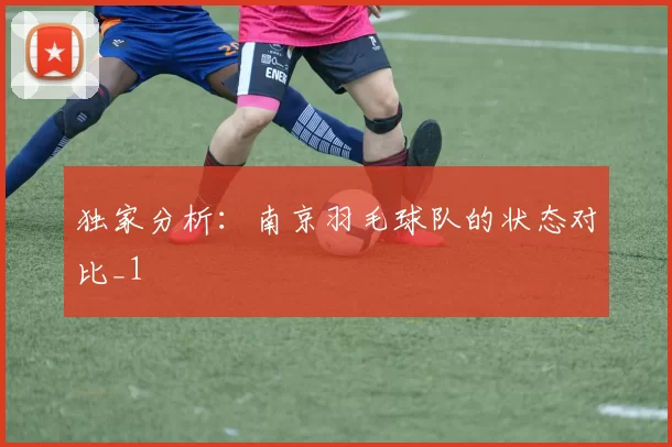 独家分析：南京羽毛球队的状态对比_1