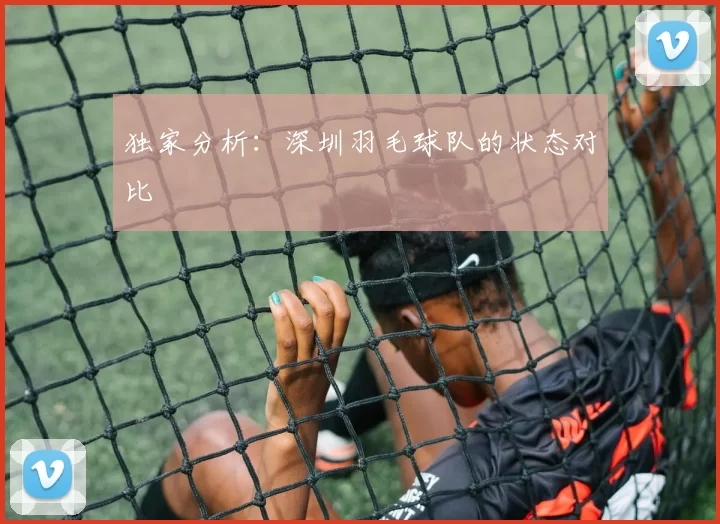 独家分析：深圳羽毛球队的状态对比