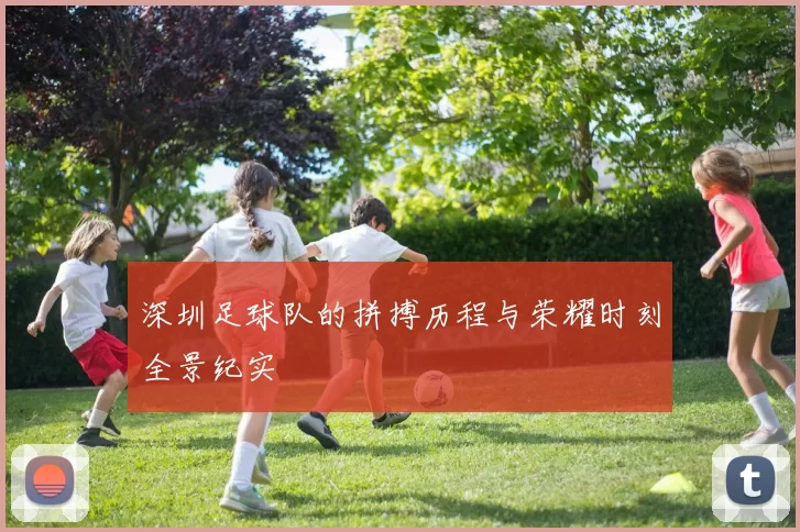 深圳足球队的拼搏历程与荣耀时刻全景纪实