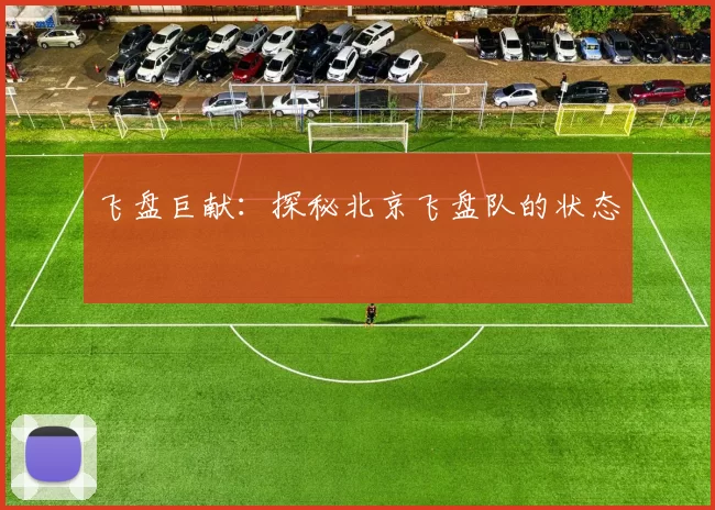 飞盘巨献：探秘北京飞盘队的状态