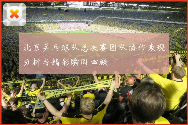北京乒乓球队总决赛团队协作表现分析与精彩瞬间回顾