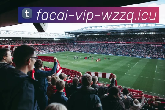 开云体育品牌故事