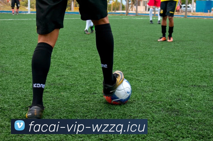 开云体育服务体系