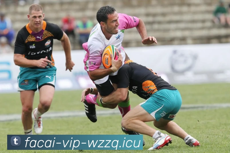 开云体育APP 体育赛事宣传图